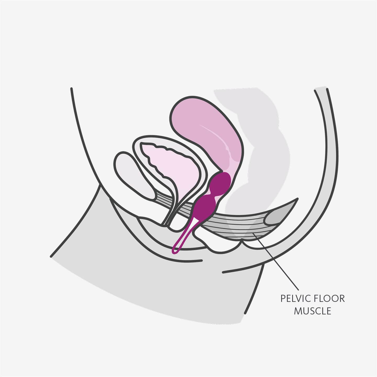 SMARTBALLS DUO kegel balls