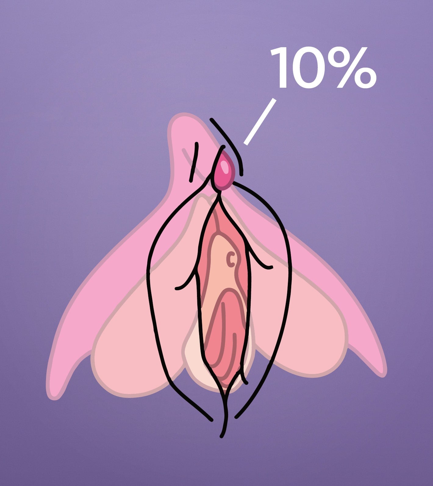 Illustration of the clitoris