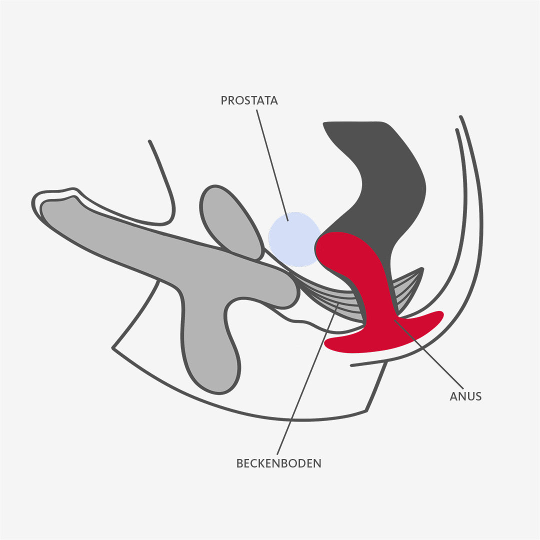 FUN FACTORY - Butt Plug BOOTIE